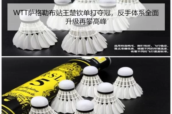 WTT萨格勒布站王楚钦单打夺冠，反手体系全面升级再攀高峰